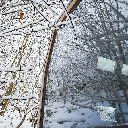 Dom wakacyjny Tiny House Pioneer 10 - Tiny Village Harz