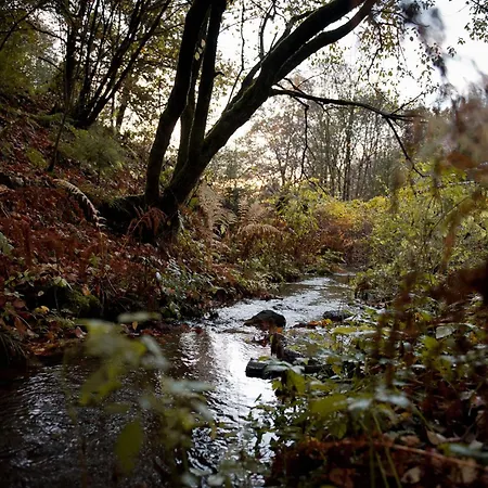 Tiny House Pioneer 10 - Tiny Village Harz Feriehus
