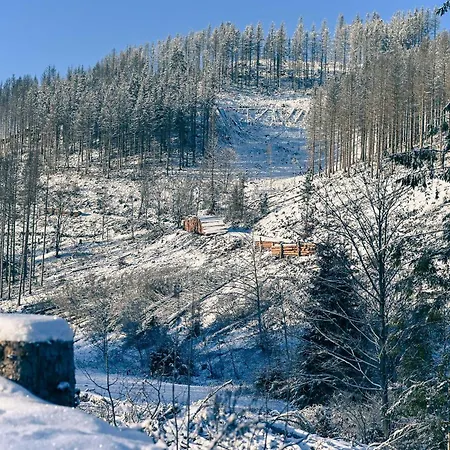 Dom wakacyjny Tiny House Pioneer 10 - Tiny Village Harz Osterode am Harz