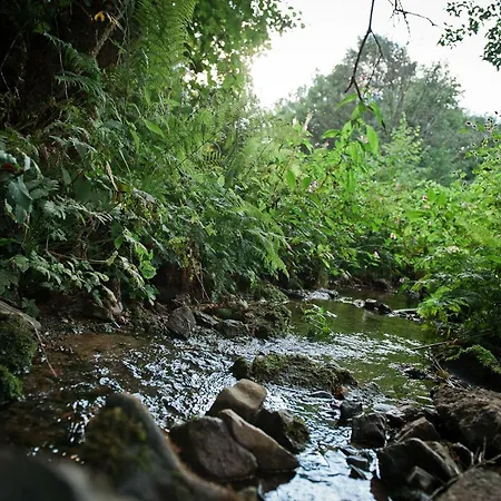 Tiny House Pioneer 10 - Tiny Village Harz *
