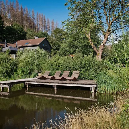 Tiny House Pioneer 10 - Tiny Village Harz