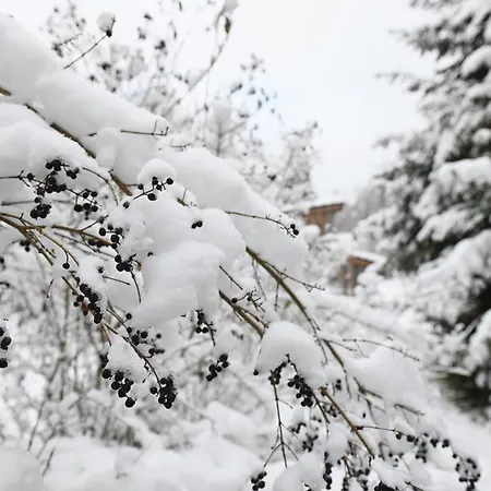 Dom wakacyjny Tiny House Pioneer 10 - Tiny Village Harz Osterode am Harz